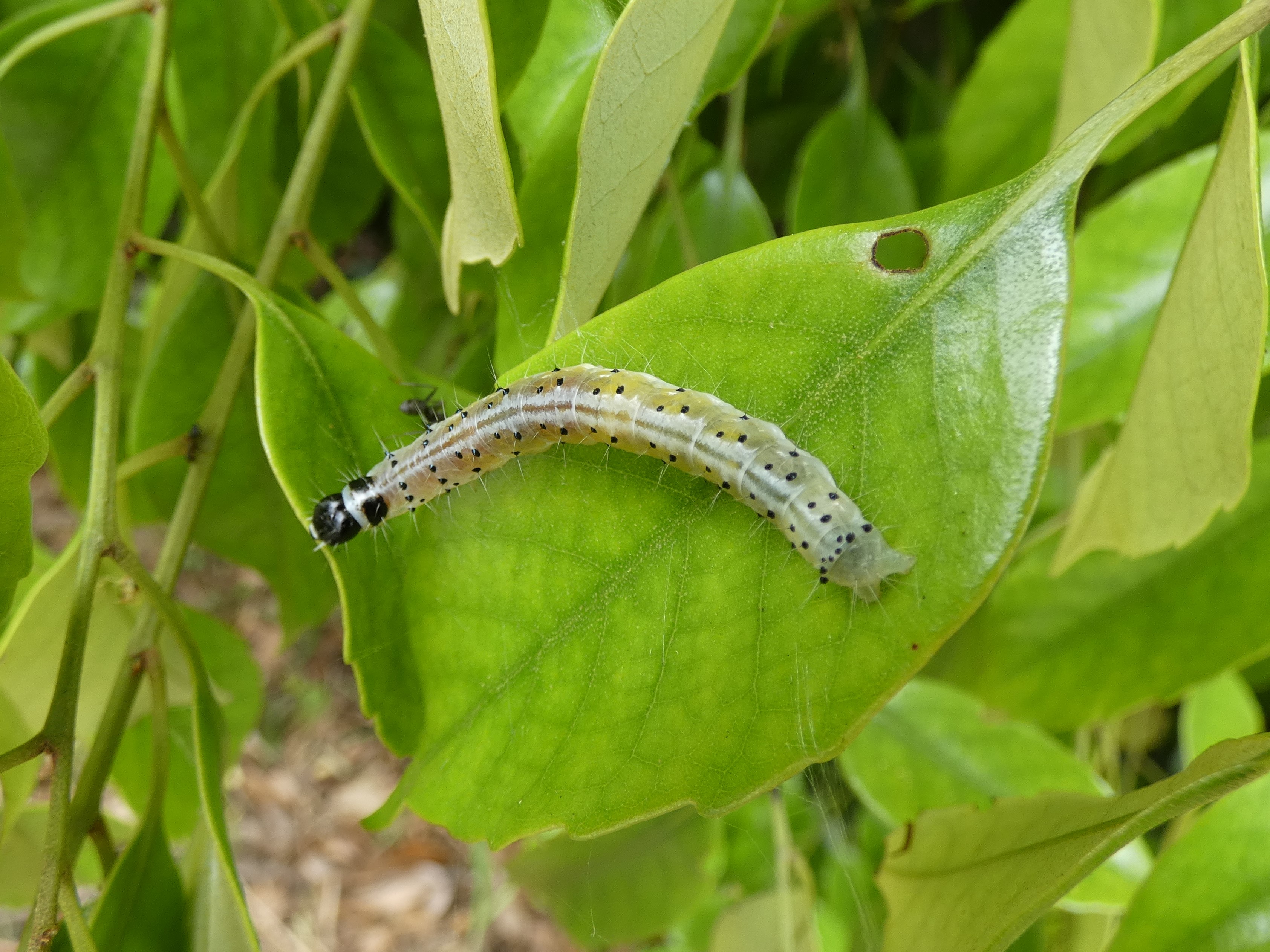photo_2